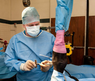 Signs your Horse May Be Affected by Arthritis | 4 CYTE Healing