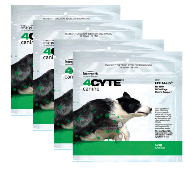 4Cyte Granules 4 X 100g Canine | Amacron Equine – amacronequine-nz