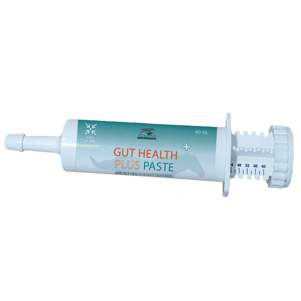 Gut Health Plus Paste